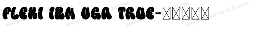 Flexi IBM VGA True字体转换